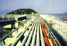 ĳ�͚�ݔ���(xi��ng)Ŀ